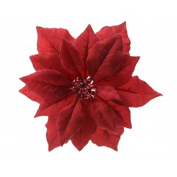 Poinsettia Sur Clip Rouge...
