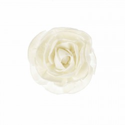 Fleur De Goatier Rosea...