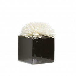 Fleur De Goatier Noir 80Ml-GOA