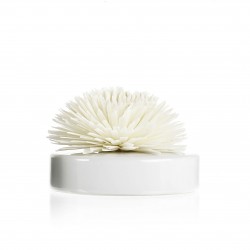 Fleur De Goatier Blanc...