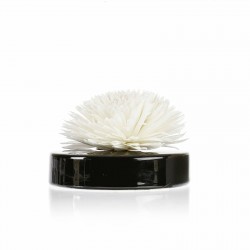 Fleur De Goatier Noir...