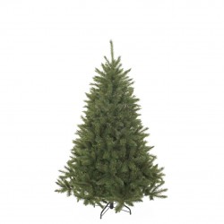 Sapin Bristlecone Vert En...