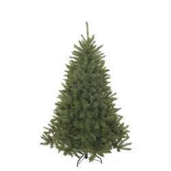 Sapin Bristlecone Vert En...