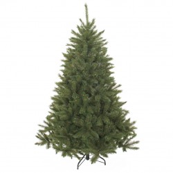 Sapin Bristlecone Vert En...