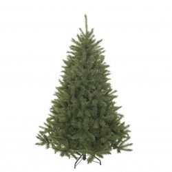 Sapin Bristlecône Vert...