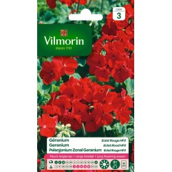 VILMORIN GÉRANIUM Éclat...