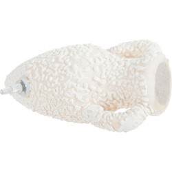 ZOLUX KORAL Amphore...