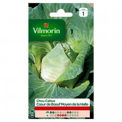 VILMORIN CHOU CABUS Coeur...