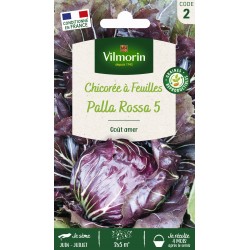 VILMORIN CHICORÉE À...
