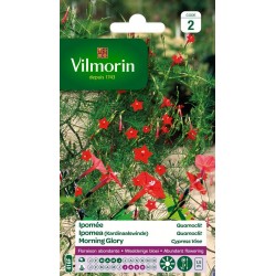 VILMORIN IPOMÉE quamoclit...