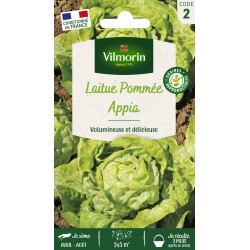 VILMORIN LAITUE POMMÉE...