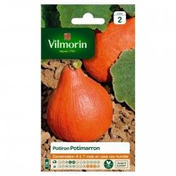 VILMORIN POTIRON Potimarron...