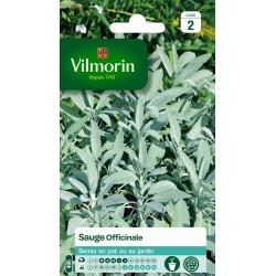 VILMORIN SAUGE Officinale...