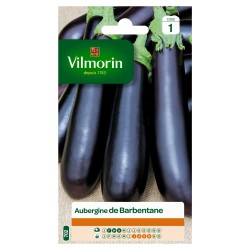 VILMORIN AUBERGINE De...