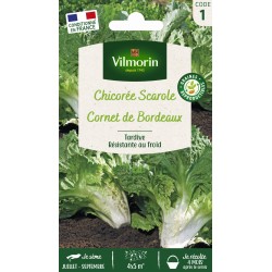 VILMORIN CHICORÉE SCAROLE...