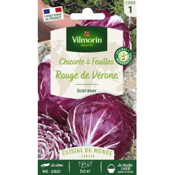 VILMORIN CHICORÉE À...