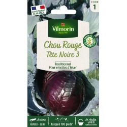 VILMORIN CHOU ROUGE Tête...