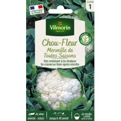 VILMORIN CHOU-FLEUR...