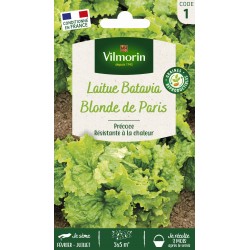 VILMORIN LAITUE BATAVIA...