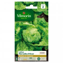 VILMORIN LAITUE Hiver...
