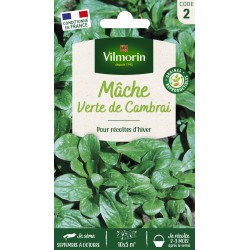 VILMORIN MÂCHE Verte De...