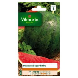 VILMORIN PASTÈQUE Sugar...