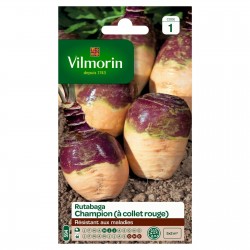 VILMORIN RUTABAGA À Collet...