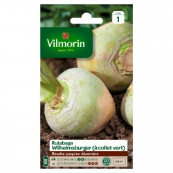 VILMORIN RUTABAGA À Collet...