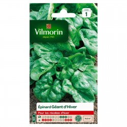 VILMORIN ÉPINARD Géant...