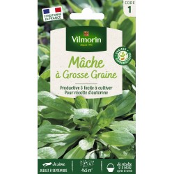 VILMORIN MÂCHE À Grosse...