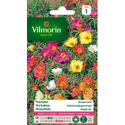 VILMORIN POURPIER Simple...