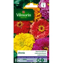 VILMORIN ZINNIA Géant De...