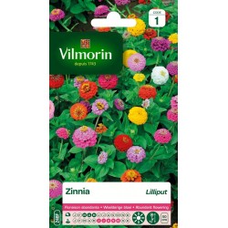 VILMORIN ZINNIA Lilliput...