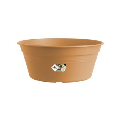 Coupe GREEN BASICS...