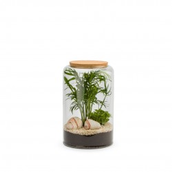 Terrarium Mia Bouchon Liege...