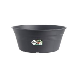 Coupe GREEN BASICS...