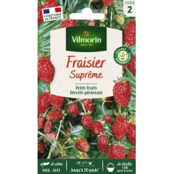 VILMORIN FRAISIER Suprême...