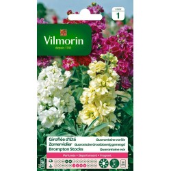 VILMORIN GIROFLÉE D'ÉTÉ...