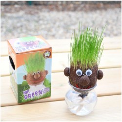 MR GREEN À faire pousser...