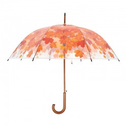 Parapluie Arbre D'Automne...
