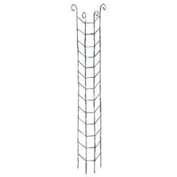 Colonne Grimpante Volute H170