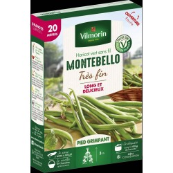 VILMORIN HARICOT Vert Très...