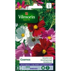 VILMORIN COSMOS Sensation...