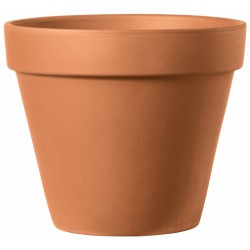 Vase deroma brut cotto ø5...