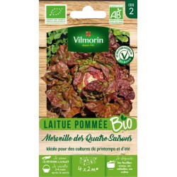 VILMORIN LAITUE BIO POMMÉE...