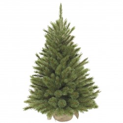 Sapin Forest Frosted Vert...