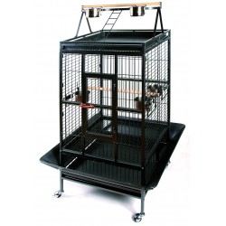 Cage perroquet arg 83x77x168