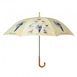 Parapluie Collection...