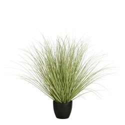 Graminée En Pot Vert En Pvc...