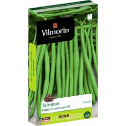 VILMORIN HARICOT Nain Sans...